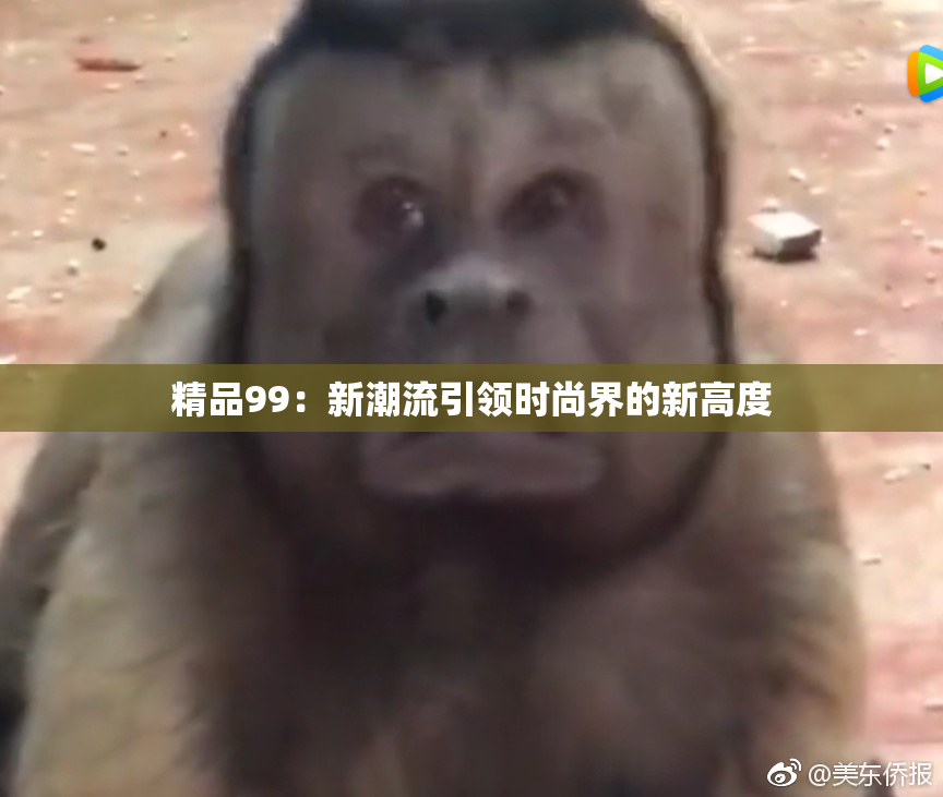 精品99：新潮流引领时尚界的新高度