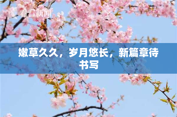 嫩草久久，岁月悠长，新篇章待书写