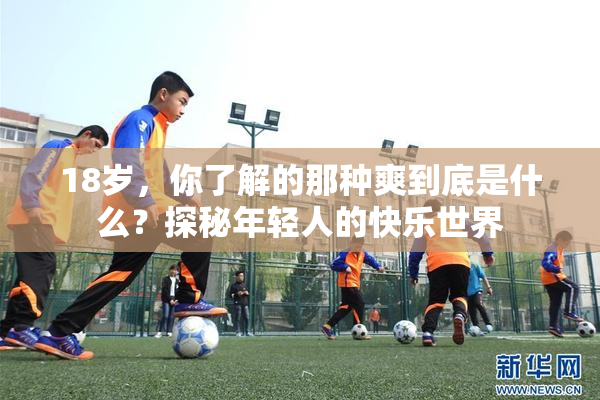 18岁，你了解的那种爽到底是什么？探秘年轻人的快乐世界