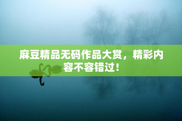 麻豆精品无码作品大赏，精彩内容不容错过！