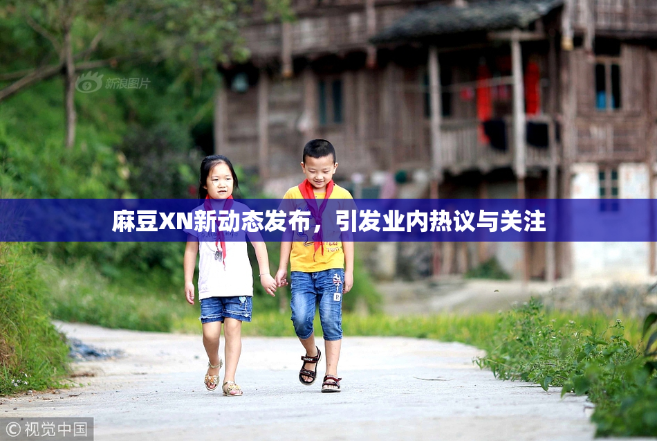 麻豆XN新动态发布，引发业内热议与关注