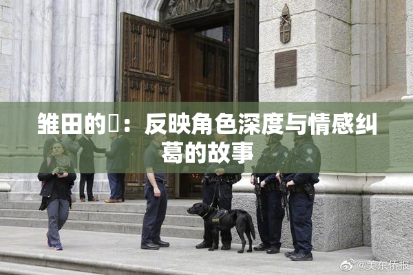 雏田的婬：反映角色深度与情感纠葛的故事