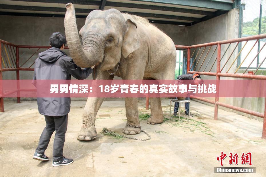 男男情深：18岁青春的真实故事与挑战