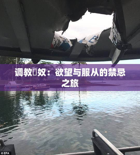 调教婬奴：欲望与服从的禁忌之旅
