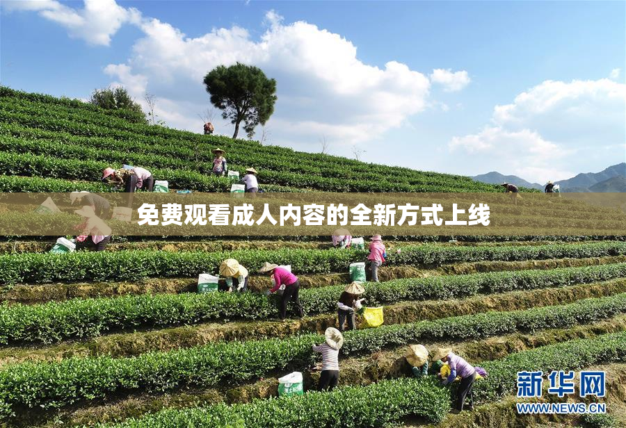 免费观看成人内容的全新方式上线