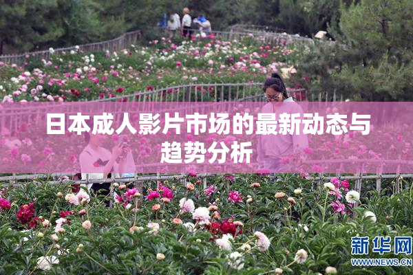 日本成人影片市场的最新动态与趋势分析