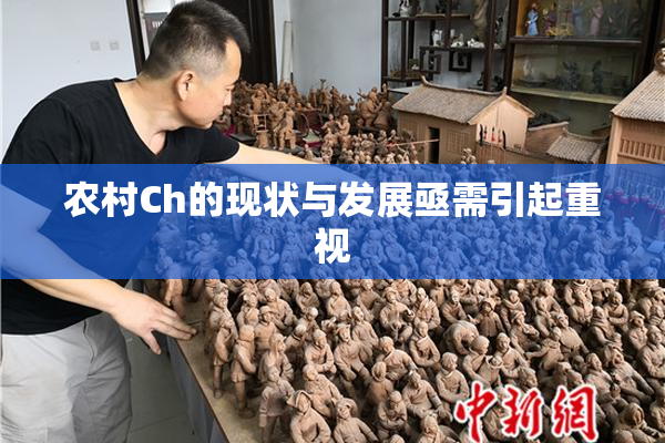 农村Ch的现状与发展亟需引起重视