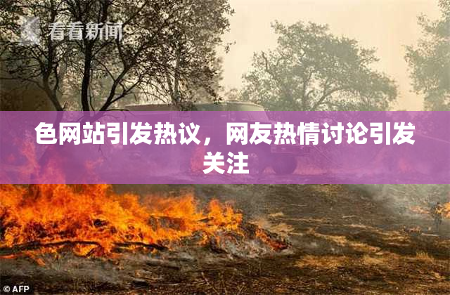 色网站引发热议，网友热情讨论引发关注