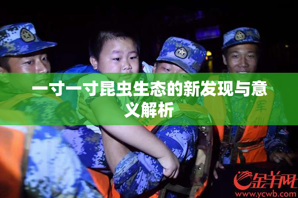 一寸一寸昆虫生态的新发现与意义解析