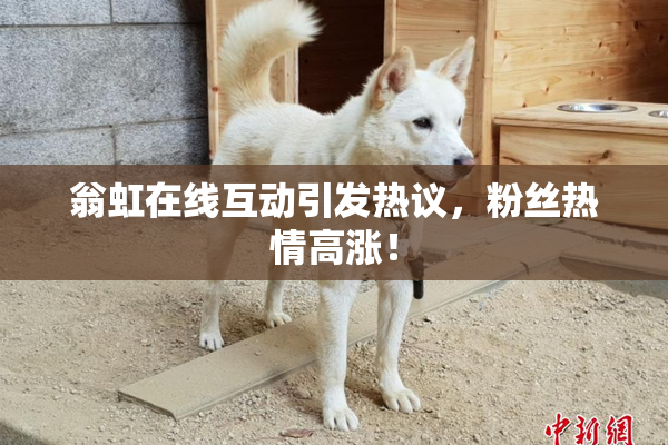 翁虹在线互动引发热议，粉丝热情高涨！
