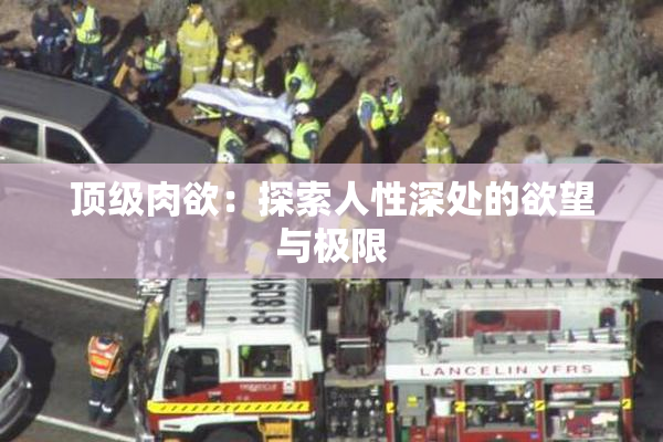 顶级肉欲：探索人性深处的欲望与极限