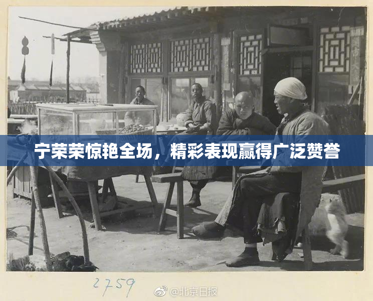 宁荣荣惊艳全场，精彩表现赢得广泛赞誉