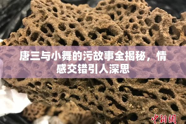 唐三与小舞的污故事全揭秘，情感交错引人深思