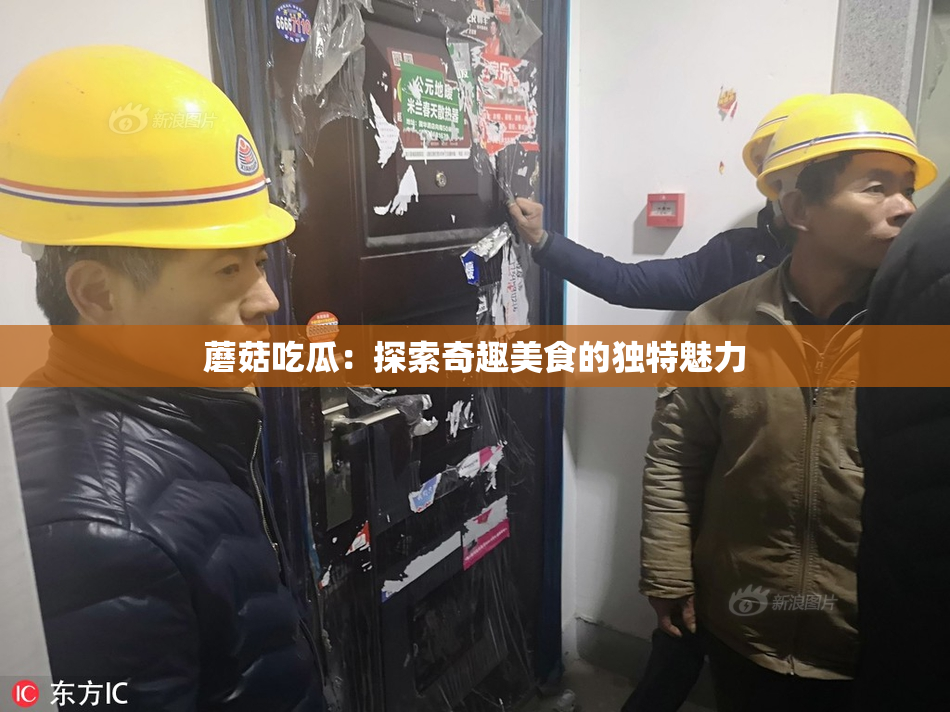 蘑菇吃瓜：探索奇趣美食的独特魅力