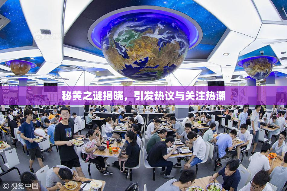 秘黄之谜揭晓，引发热议与关注热潮