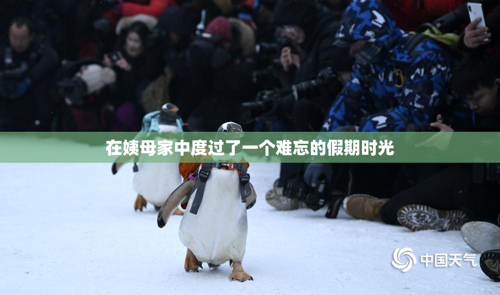 在姨母家中度过了一个难忘的假期时光