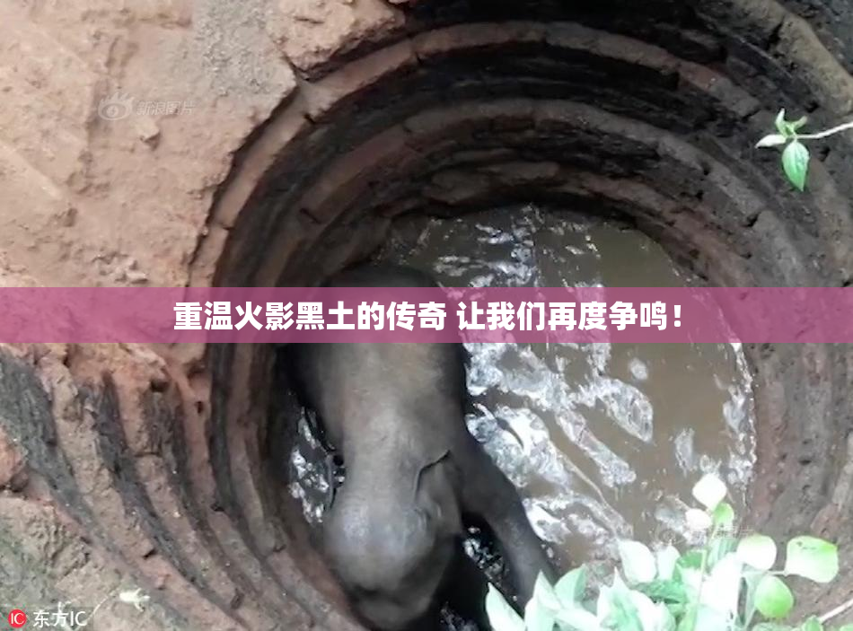 重温火影黑土的传奇 让我们再度争鸣！