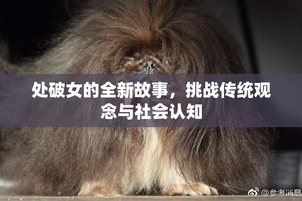 处破女的全新故事，挑战传统观念与社会认知