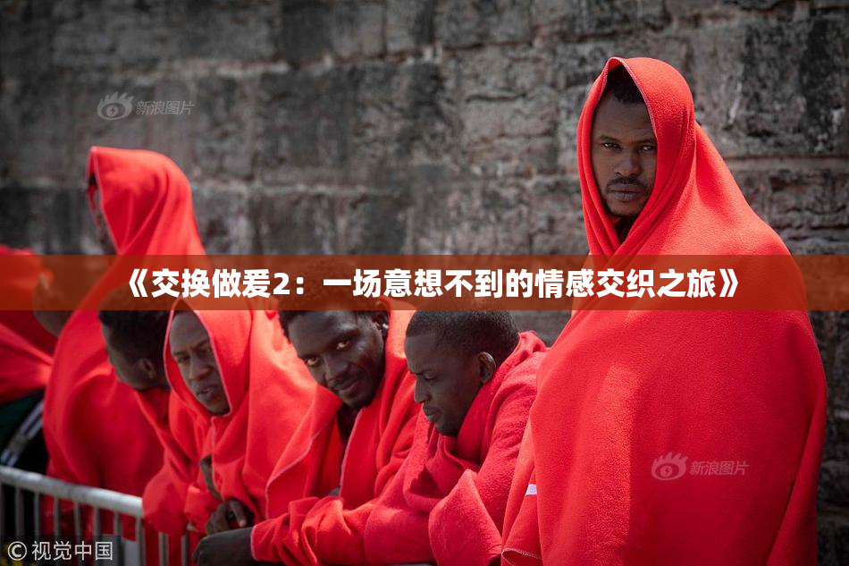 《交换做爰2：一场意想不到的情感交织之旅》