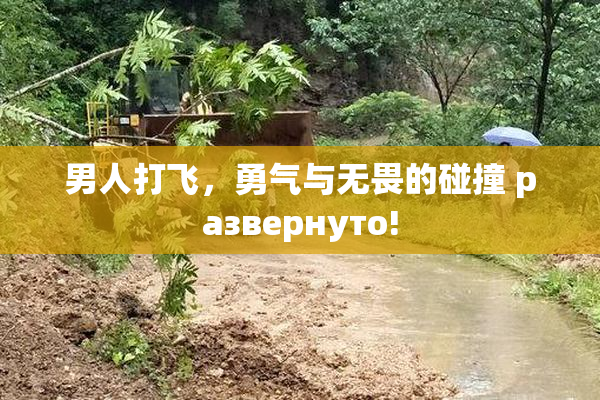 男人打飞，勇气与无畏的碰撞 развернуто!
