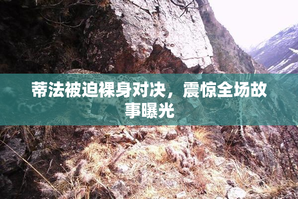 蒂法被迫裸身对决，震惊全场故事曝光