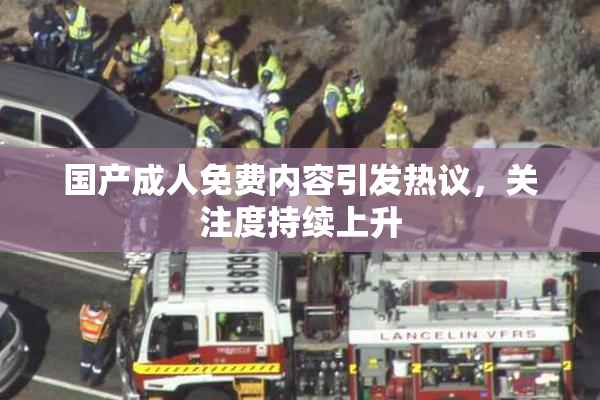 国产成人免费内容引发热议，关注度持续上升