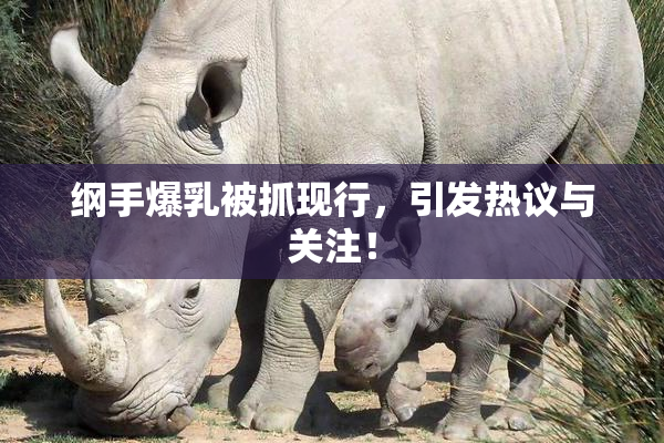 纲手爆乳被抓现行，引发热议与关注！