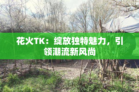 花火TK：绽放独特魅力，引领潮流新风尚