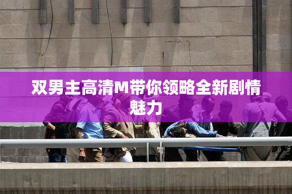 双男主高清M带你领略全新剧情魅力