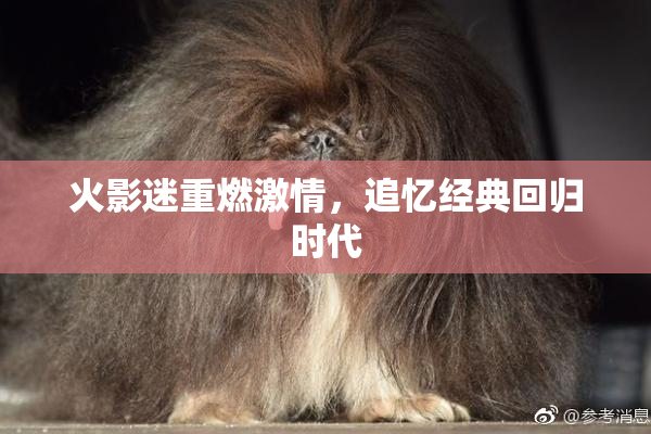 火影迷重燃激情，追忆经典回归时代