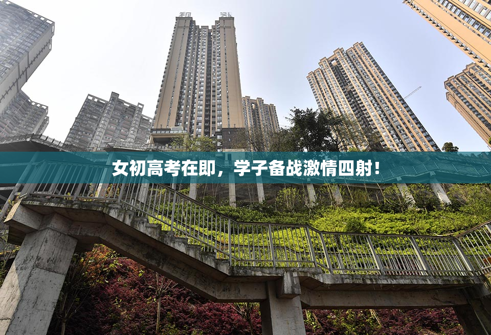 女初高考在即，学子备战激情四射！