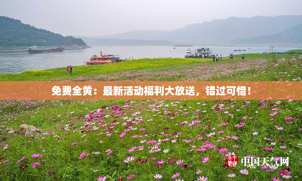 免费全黄：最新活动福利大放送，错过可惜！