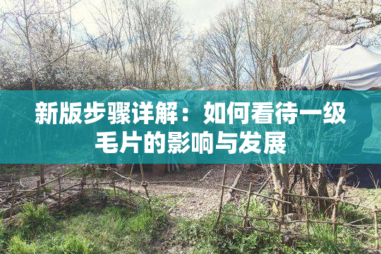 新版步骤详解：如何看待一级毛片的影响与发展