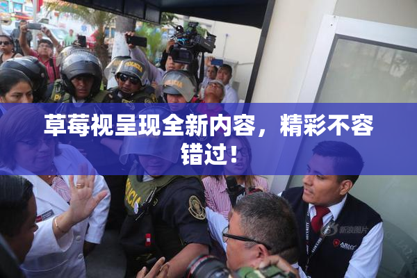 草莓视呈现全新内容，精彩不容错过！