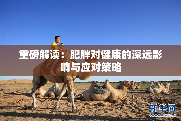 重磅解读：肥胖对健康的深远影响与应对策略