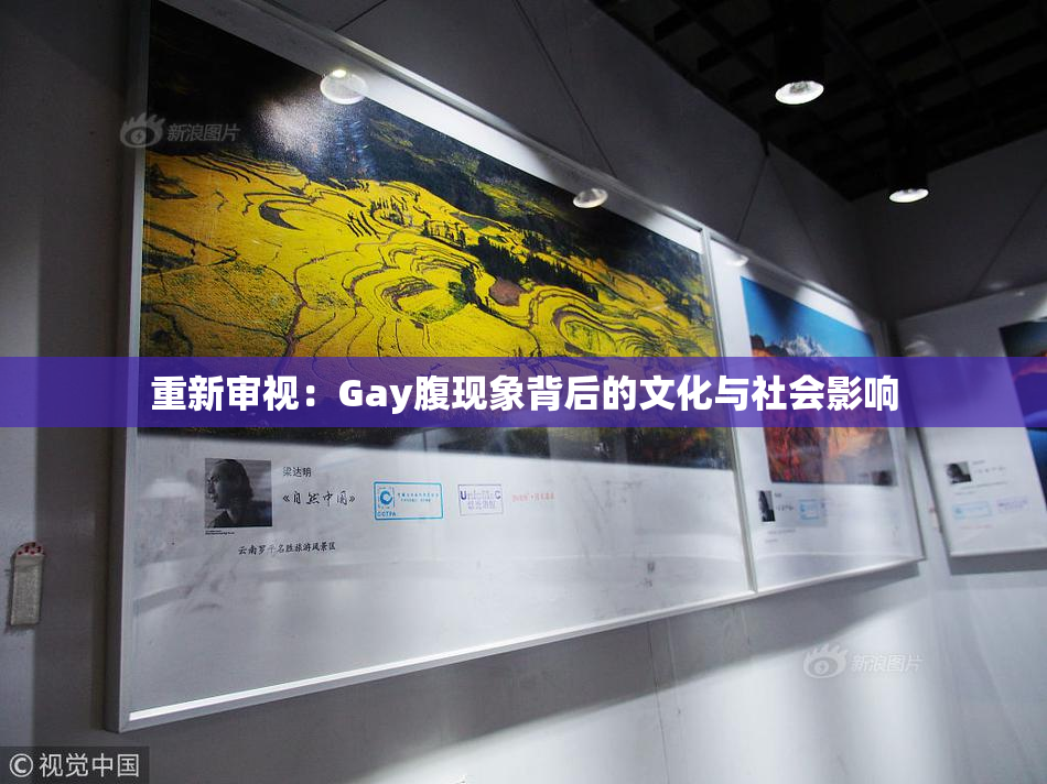 重新审视：Gay腹现象背后的文化与社会影响