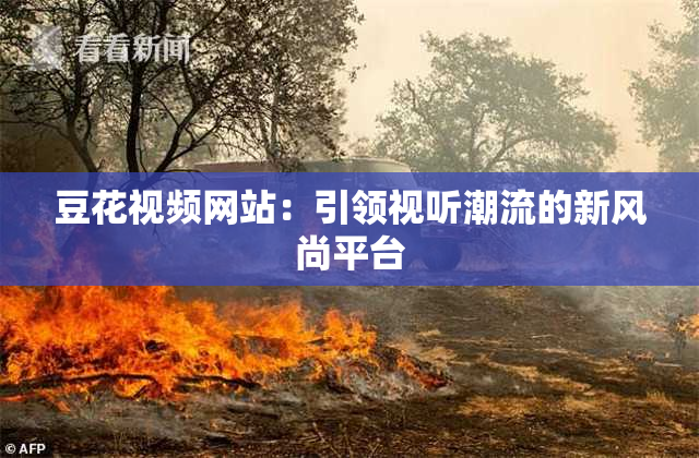 豆花视频网站：引领视听潮流的新风尚平台