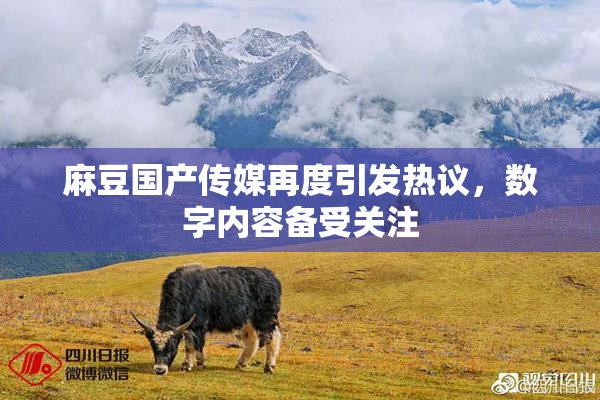 麻豆国产传媒再度引发热议，数字内容备受关注