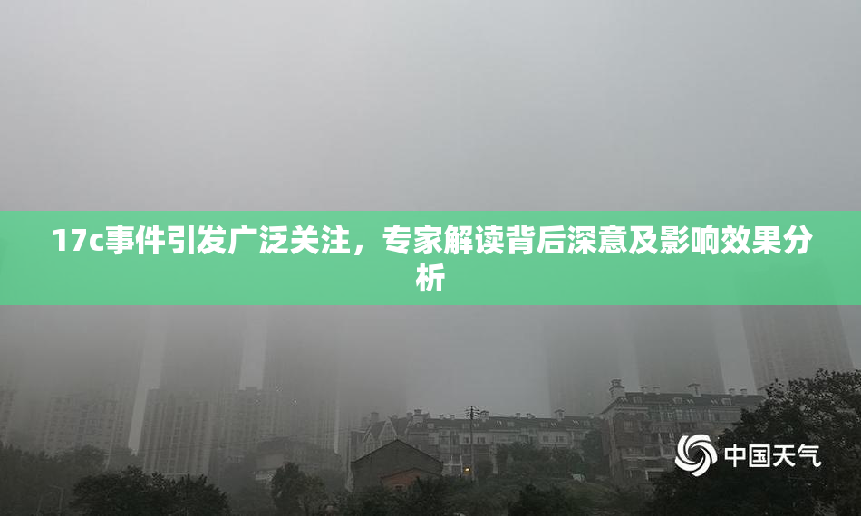 17c事件引发广泛关注，专家解读背后深意及影响效果分析