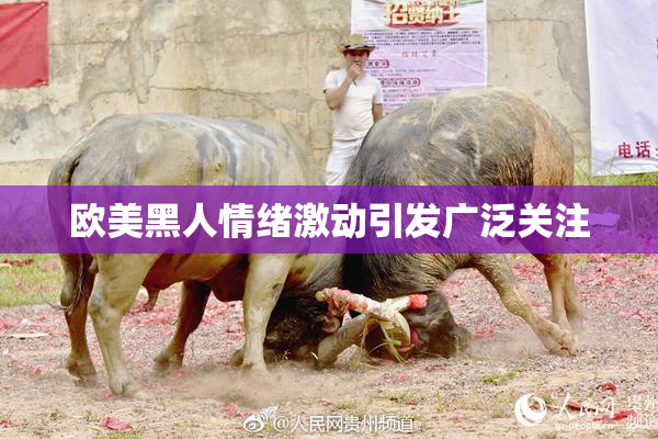 欧美黑人情绪激动引发广泛关注