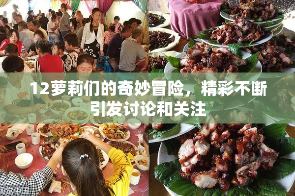 12萝莉们的奇妙冒险，精彩不断引发讨论和关注