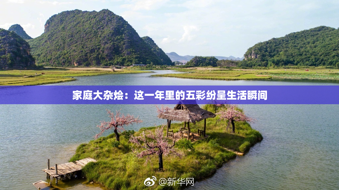家庭大杂烩：这一年里的五彩纷呈生活瞬间