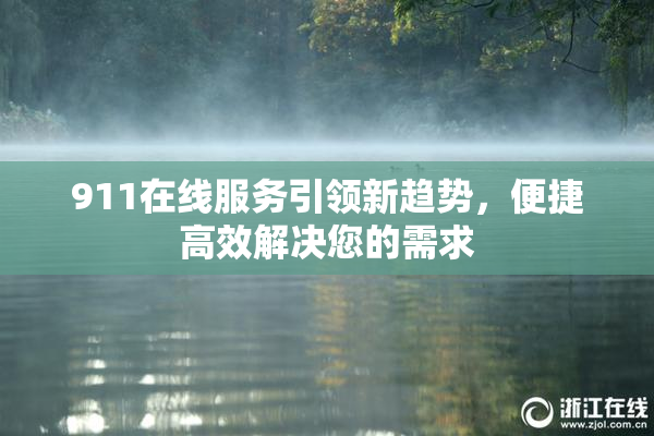 911在线服务引领新趋势，便捷高效解决您的需求