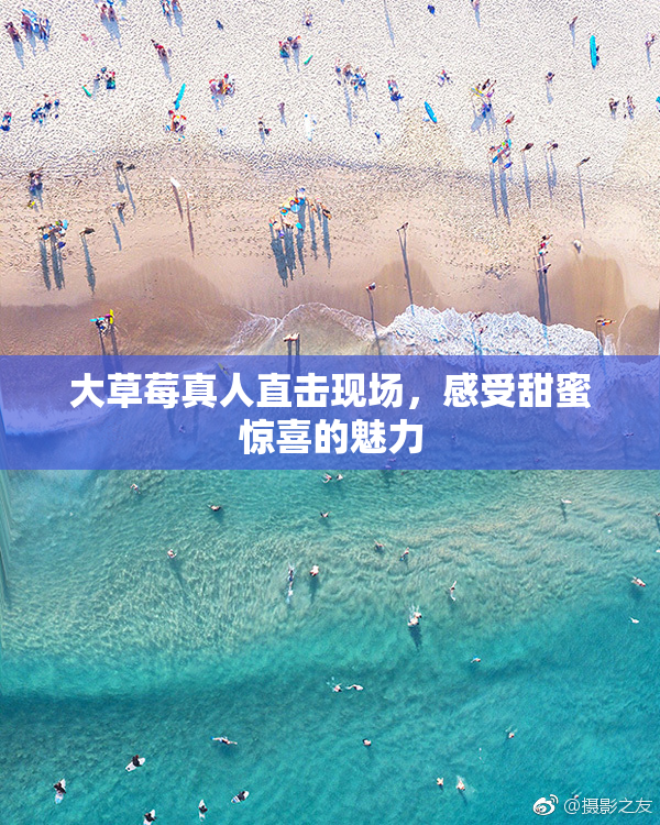大草莓真人直击现场，感受甜蜜惊喜的魅力