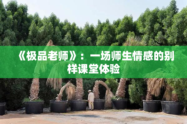 《极品老师》：一场师生情感的别样课堂体验