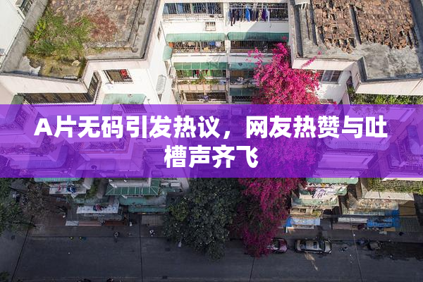 A片无码引发热议，网友热赞与吐槽声齐飞