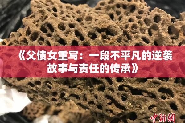 《父债女重写：一段不平凡的逆袭故事与责任的传承》
