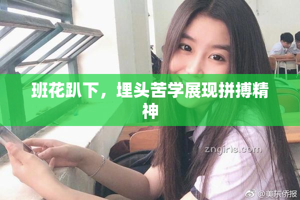 班花趴下，埋头苦学展现拼搏精神