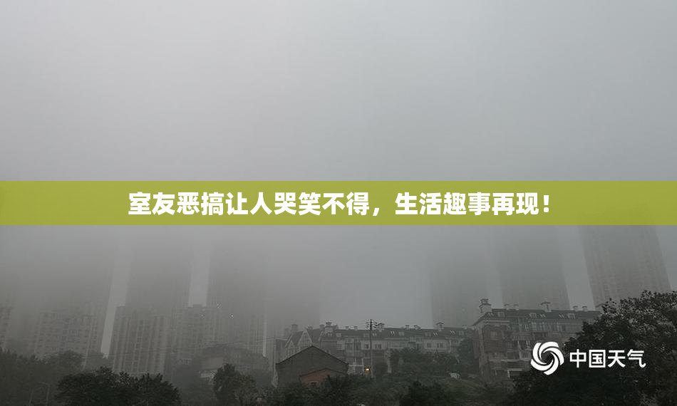 室友恶搞让人哭笑不得，生活趣事再现！