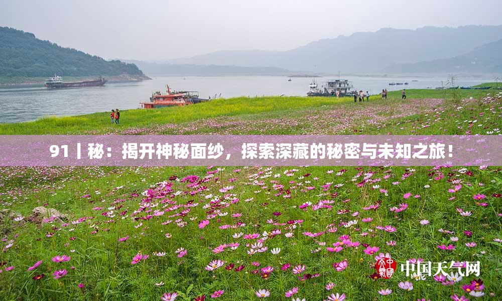 91丨秘：揭开神秘面纱，探索深藏的秘密与未知之旅！